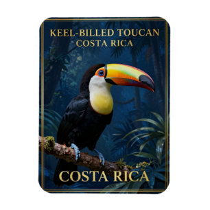 Tukan mit farbenfrohem Schnabel Costa Rica Tierwel Magnet