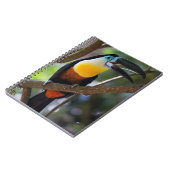 Tukan, Natur, Vogel Notizblock (Linke Seite)