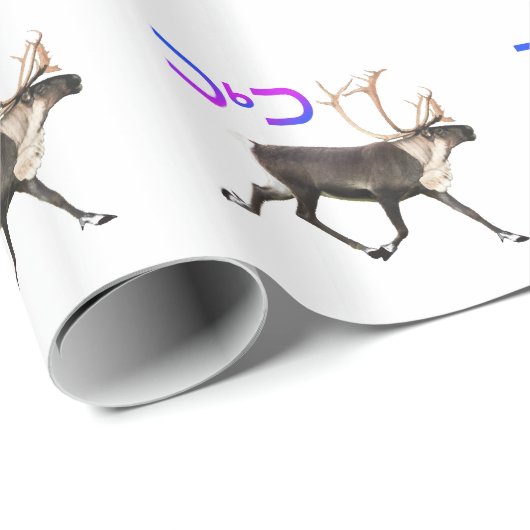 Tuktu - Karibik Geschenkpapier (Rolleneckpunkt)