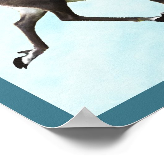 Tuktu - Karibik im Schnee Poster (Ecke)