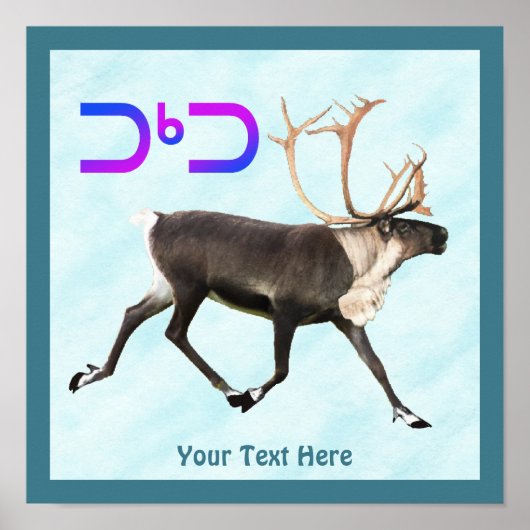 Tuktu - Karibik im Schnee Poster (Vorne)