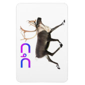 Tuktu - Karibik Magnet (Vertikal)