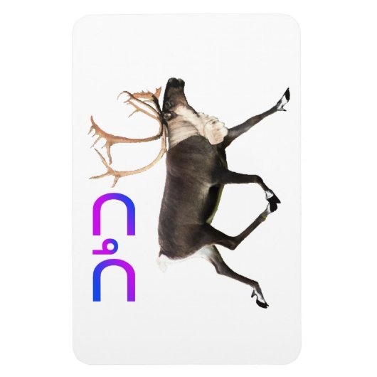 Tuktu - Karibik Magnet (Vertikal)