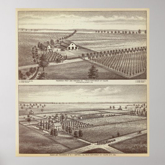 Tulare Farmen Poster (Vorne)
