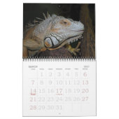 Tulazoo-Kalender Kalender (Mär 2027)