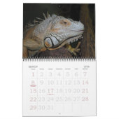 Tulazoo-Kalender Kalender (Mär 2026)
