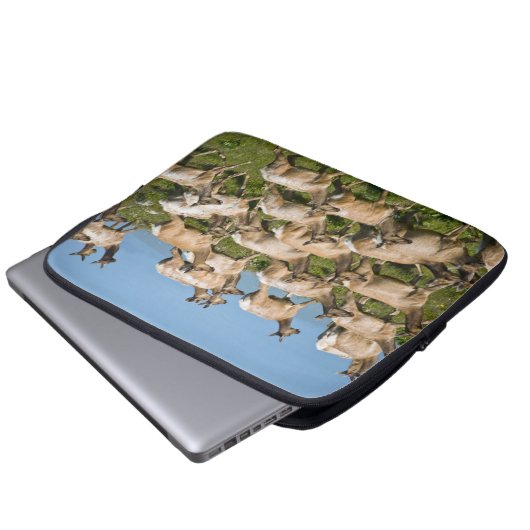 Tule Elk | Point Reyes National Seashore, CA Laptopschutzhülle (Vorne Knopf)