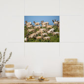 Tule Elk | Point Reyes National Seashore, CA Poster (Küche)