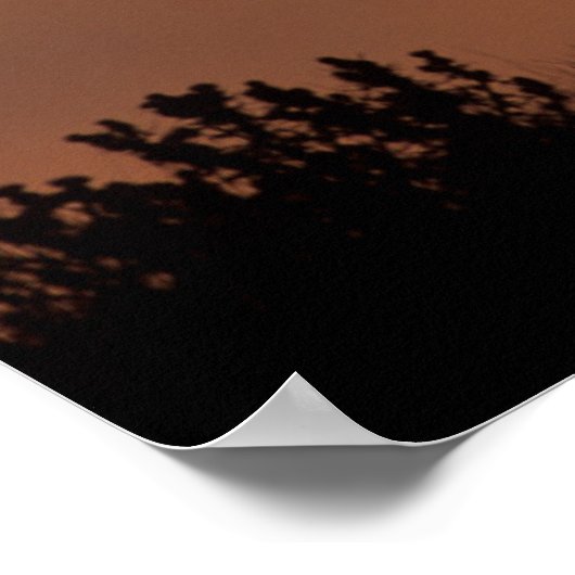 Tule Elk | Point Reyes National Seashore Poster (Ecke)