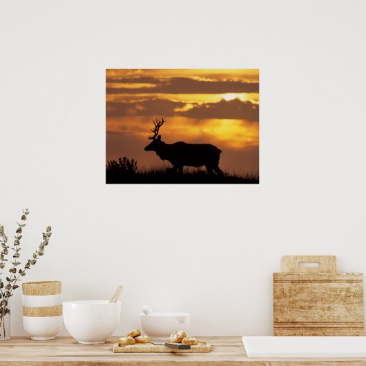 Tule Elk | Point Reyes National Seashore Poster (Küche)