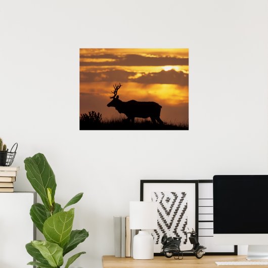 Tule Elk | Point Reyes National Seashore Poster (Heimbüro)