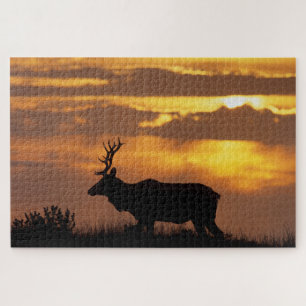 Tule Elk Point Reyes National Seashore Puzzle