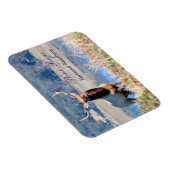 Tule Elk Reserve Point Reyes Magnet (Rechte Seite)