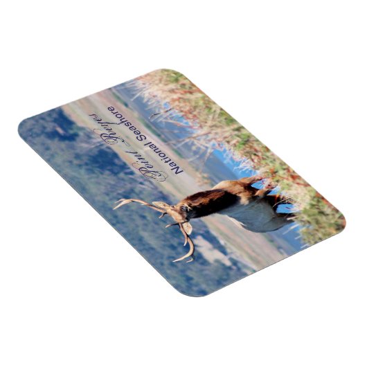 Tule Elk Reserve Point Reyes Magnet (Rechte Seite)