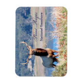 Tule Elk Reserve Point Reyes Magnet (Vertikal)