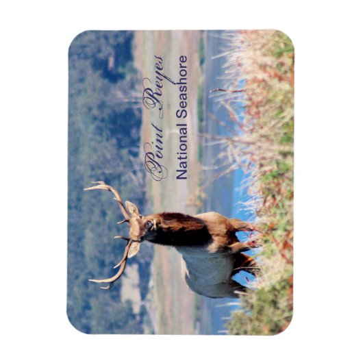 Tule Elk Reserve Point Reyes Magnet (Vertikal)