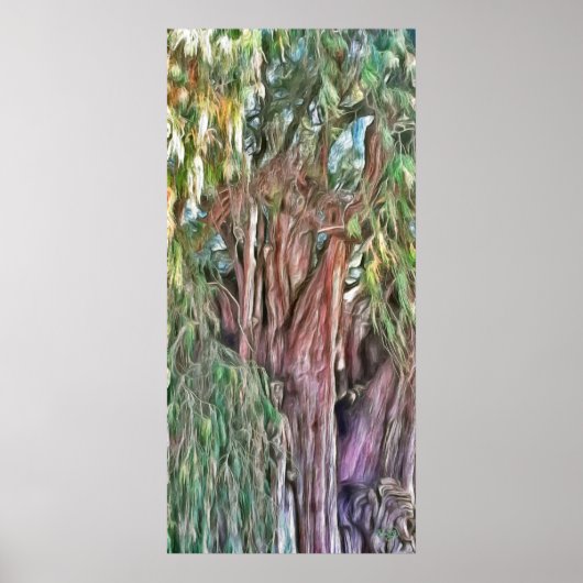 Tule Oaxaca OAX1 Art Print Poster (Vorne)