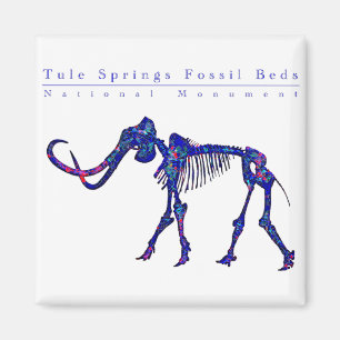 Tule Quellen Fossilien Nationaldenkmal Magnet