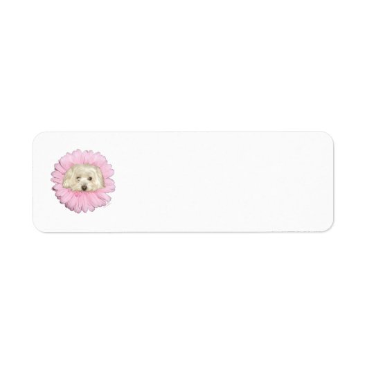 Tulear Springtime Flower (Vorne)