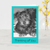 Tulio Karte (Gelbe Blume)