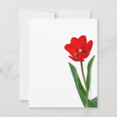 Tulip (Vorderseite)