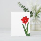 Tulip (Stehend Vorderseite)