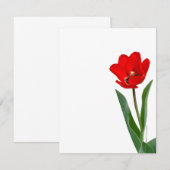 Tulip (Vorne/Hinten)