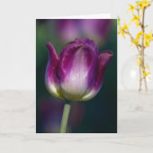 Tulip01 Karte (Gelbe Blume)