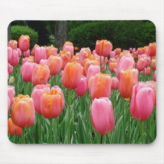 Tulip #1 mousepad (Vorne)
