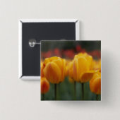 Tulip 2 button (Vorne & Hinten)