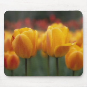 Tulip 2 mousepad