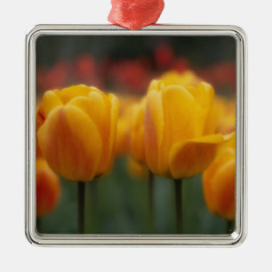 Tulip 2 ornament aus metall