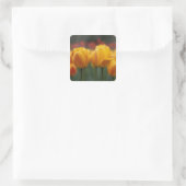 Tulip 2 quadratischer aufkleber (Tasche)