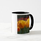 Tulip 2 tasse (VorderseiteRechts)