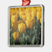Tulip 3 ornament aus metall (Links)