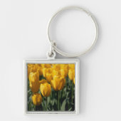 Tulip 3 schlüsselanhänger (Vorne)