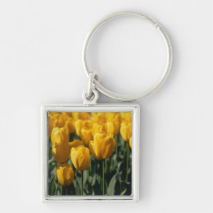 Tulip 3 schlüsselanhänger