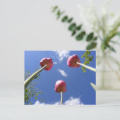 Tulip 3 "Worms eye view" ~ Postcard Postkarte (Stehend Vorderseite)