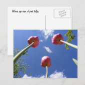 Tulip 3 "Worms eye view" ~ Postcard Postkarte (Vorne/Hinten)