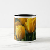 Tulip 3 zweifarbige tasse (Mittel)
