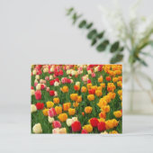 Tulip 5 Postkarte (Stehend Vorderseite)