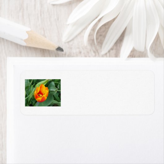 Tulip Address Label (Insitu)