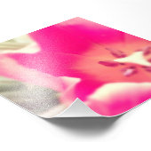 Tulip Anatomie. Fotodruck (Ecke)