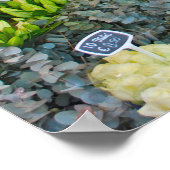 Tulip and Blume Market in Amsterdam Poster (Ecke)