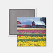Tulip-Anzeigefeld Magnet (Vorderseite/Rückseite)