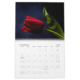 Tulip Beautiful Rose Holland Blume 2025 Kalender