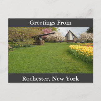 Tulip Beds & Cannon Postkarte