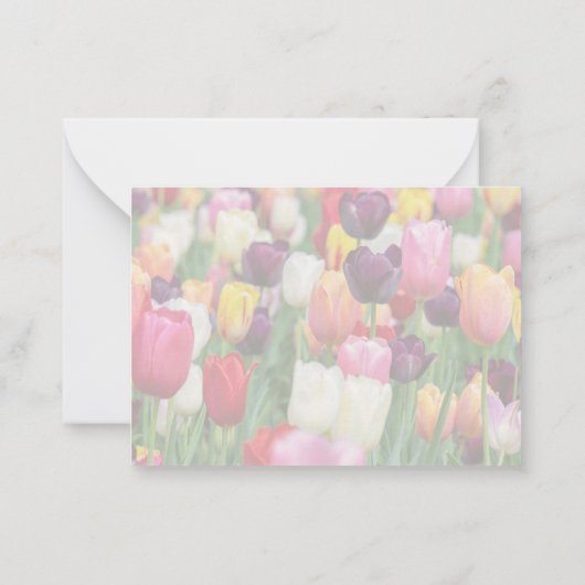 Tulip Blossom Vielen Dank Karten (Rückseite)
