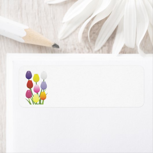 Tulip Blume (Insitu)