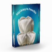 Tulip Blume Alles ist möglich Inspiration Fotoblock (Links)